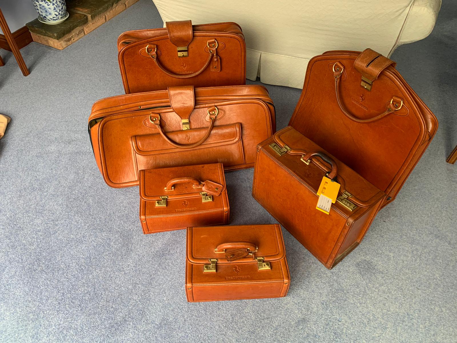 schedoni luggage for sale